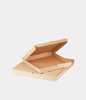 bolsa kraft pan